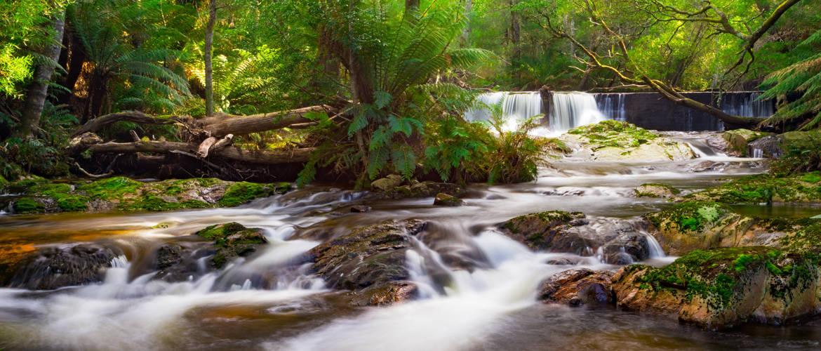 Tasmanian Wilderness